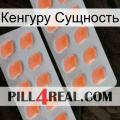 Кенгуру Сущность 27